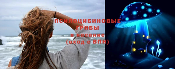 прущие грибы Алексеевка